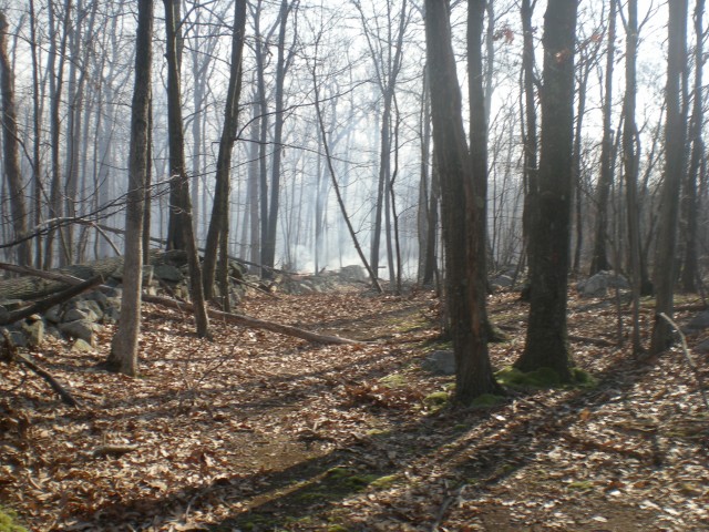 Brush Fire 3-15-2009