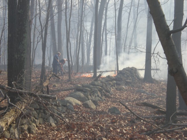 Brush Fire 3-15-2009