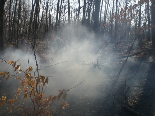 Brush Fire 3-15-2009