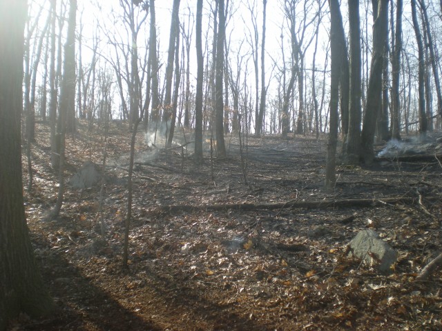 Brush Fire 3-15-2009