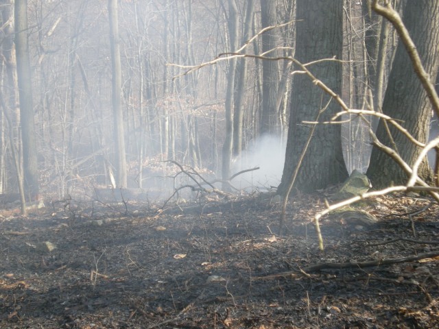 Brush Fire 3-15-2009