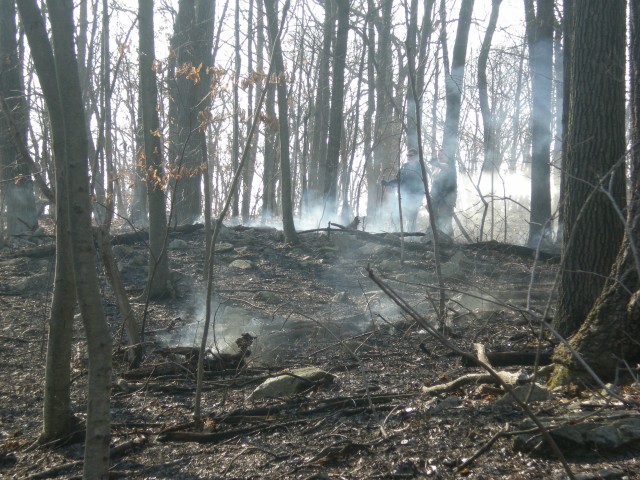 Brush Fire 3-15-2009