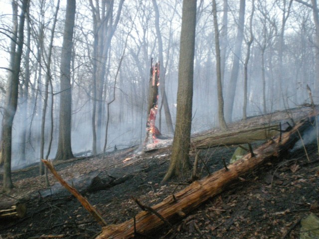 Brush Fire in Garrison 3-24-2009