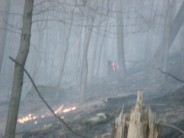 Brush Fire in Garrison 3-24-2009