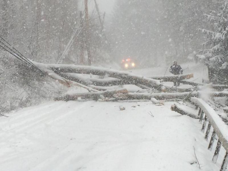 Snow Storm January 23rd 2016 - wires down - Photo by Anthony Proetta Jr.