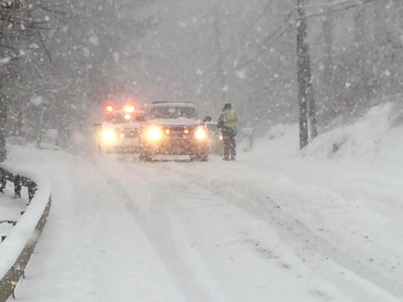 Snow Storm January 23rd 2016 - wires down - Photo by Anthony Proetta Jr.