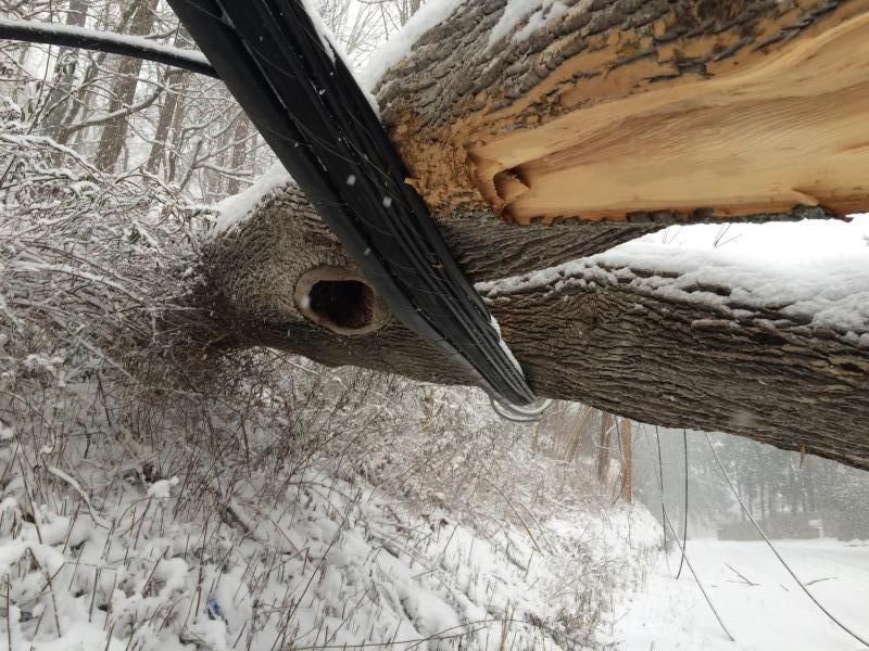 Snow Storm January 23rd 2016 - wires down - Photo by Anthony Proetta Jr.