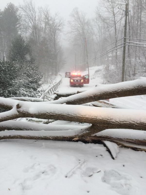 Snow Storm January 23rd 2016 - wires down - Photo by Anthony Proetta Jr.