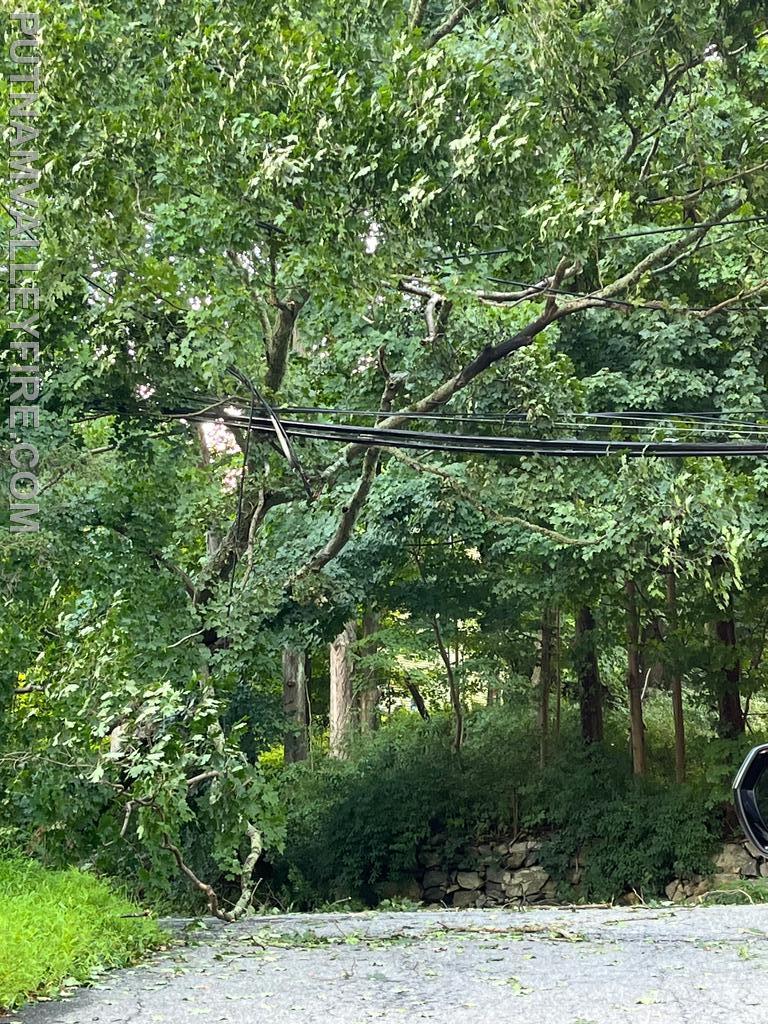 8/18 tree/wires down