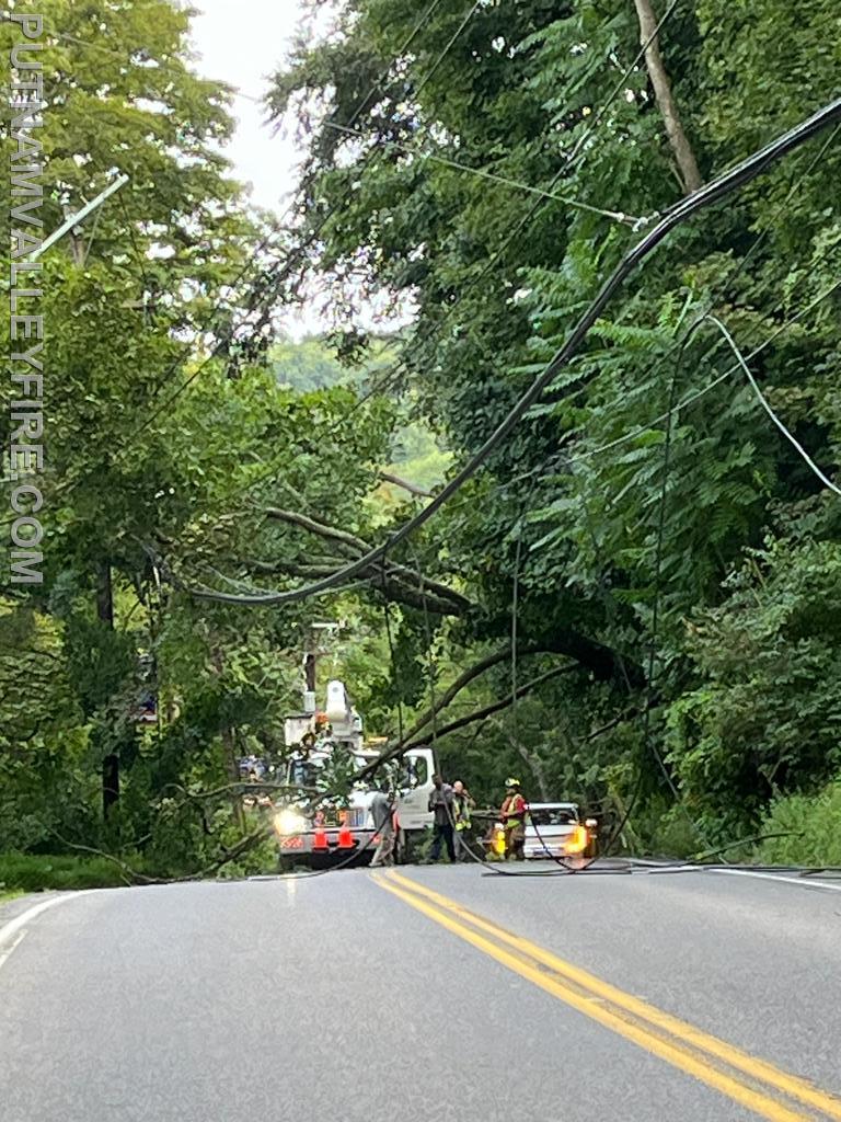 8/18 tree/wires down