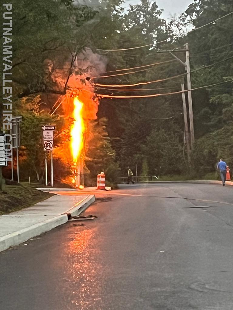 8/18 tree/wires down